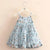 2024 New Summer 2 3 4 5 6 7 8 9 10 Years Floral Lace Patchwork Lining Backless Pearl Mesh Ball Gown Dress For Kids Baby Girls